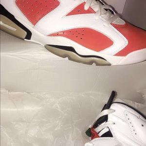 Jordan 6’s (Gatorade)